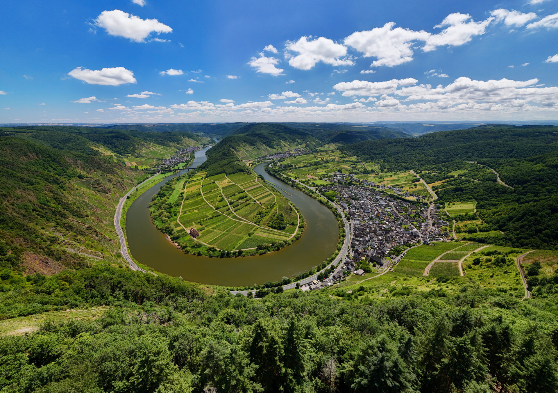 Die Mosel bei Neef