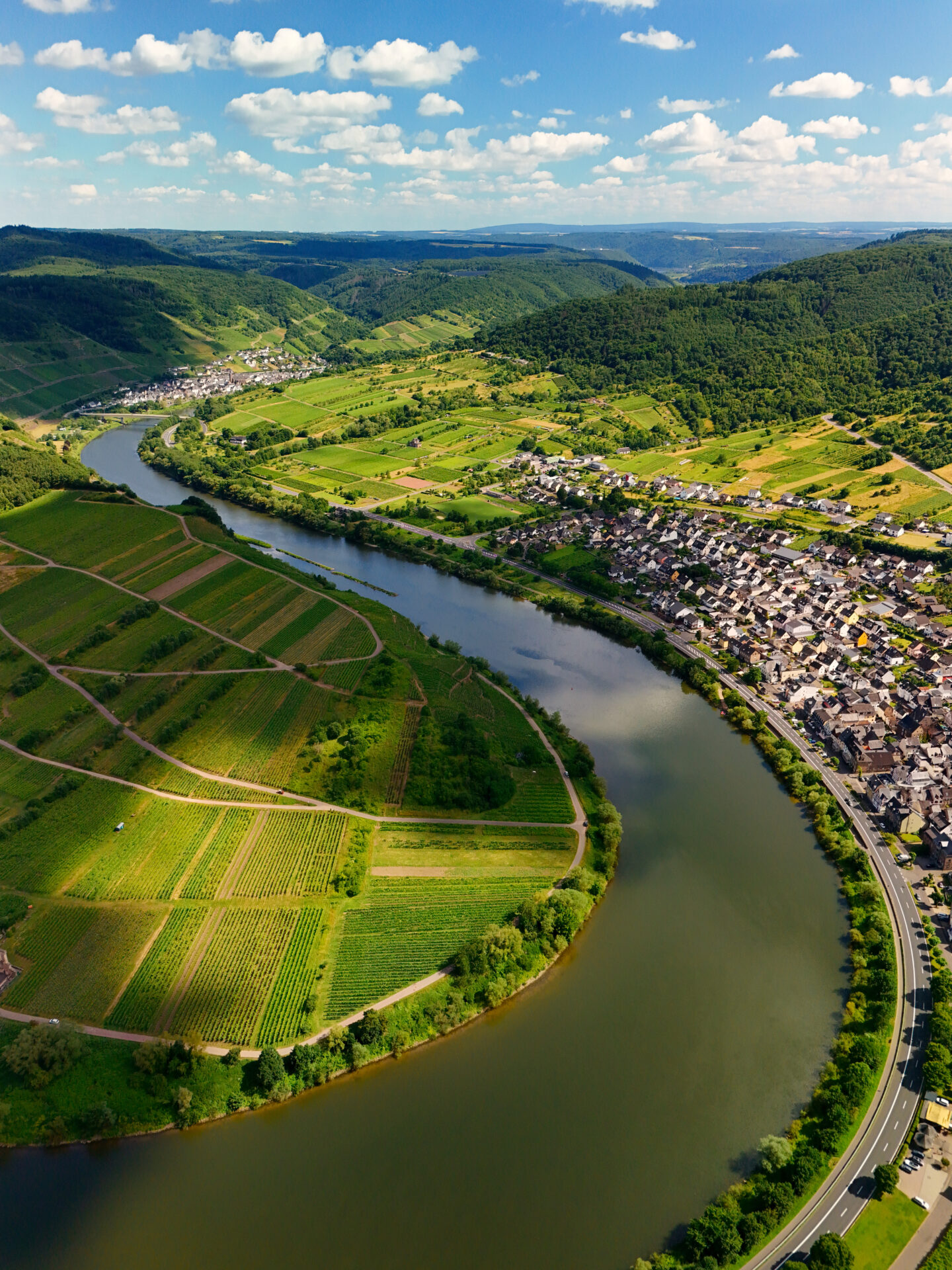 Die Mosel bei Neef