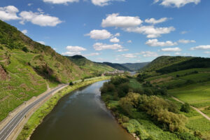 Die Mosel bei Neef