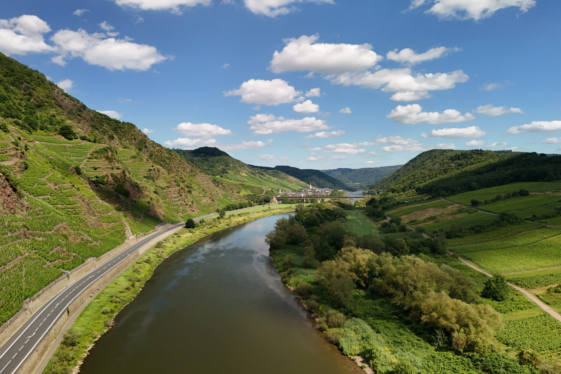 Die Mosel bei Neef