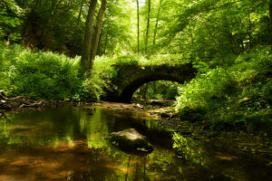 Baybachklamm