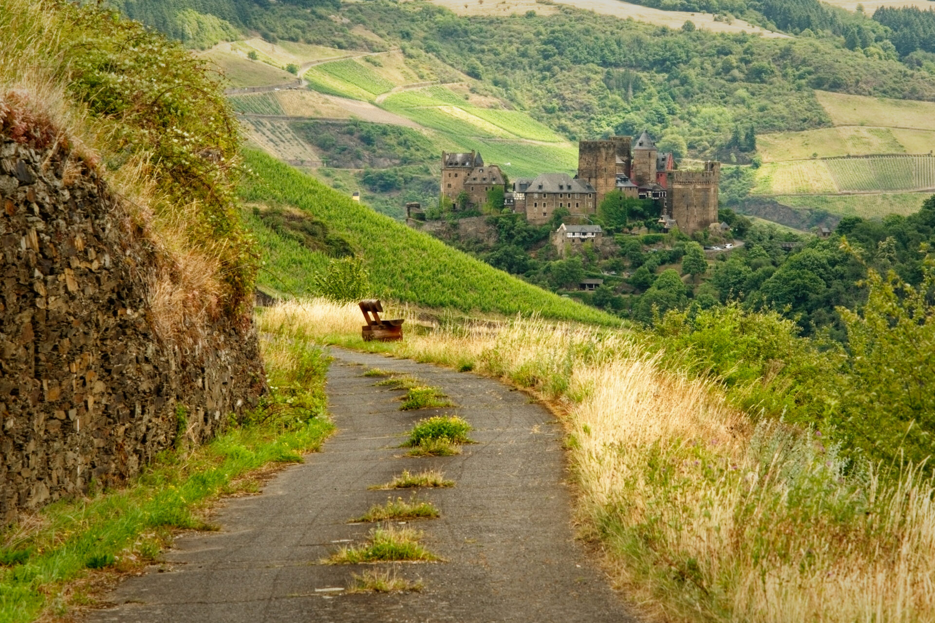 Blick auf Burg Schönburg