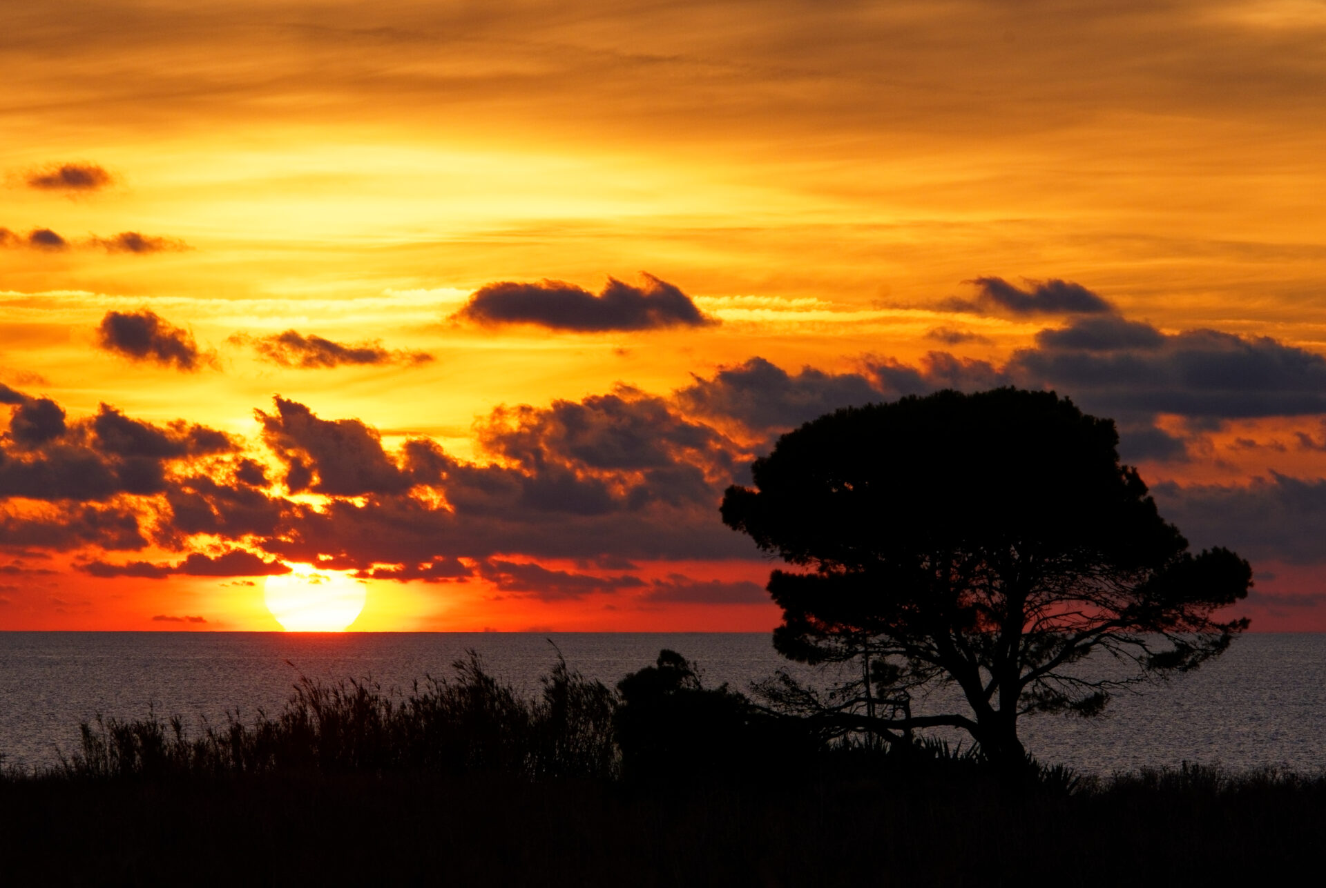 Calette Santa Margherita